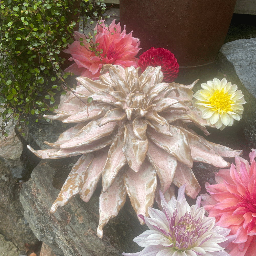 Dhalia keramik timmervikens keramik